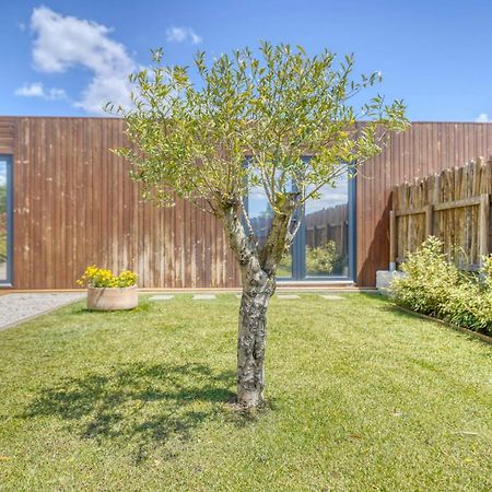 Caju Villas Montargil - Villa Farinha Branca Kültér fotó